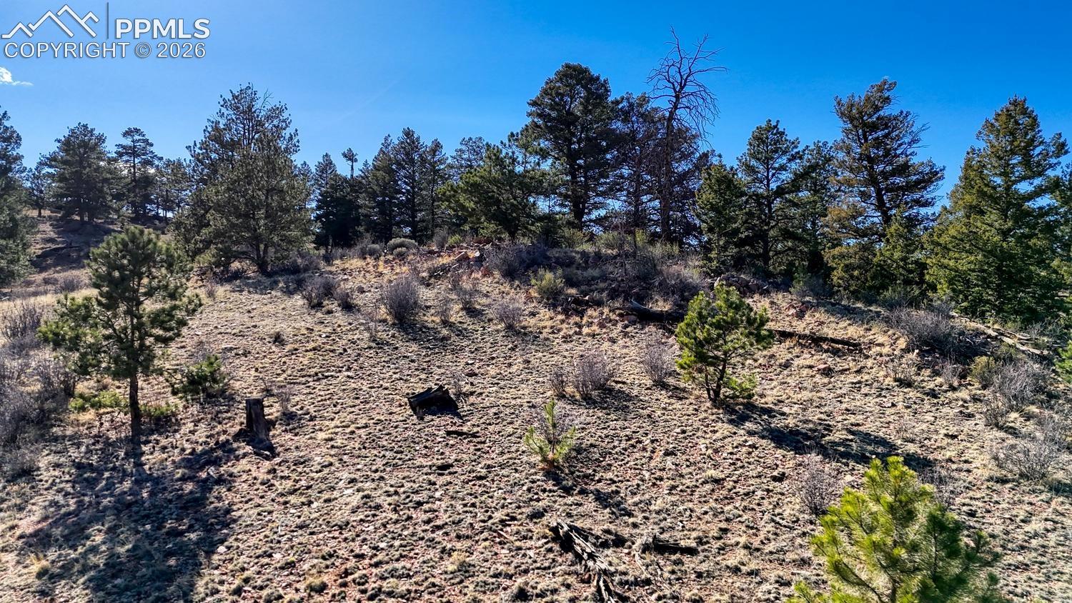 Photo 9 of Lot 5124 Arikara Trail, Hartsel