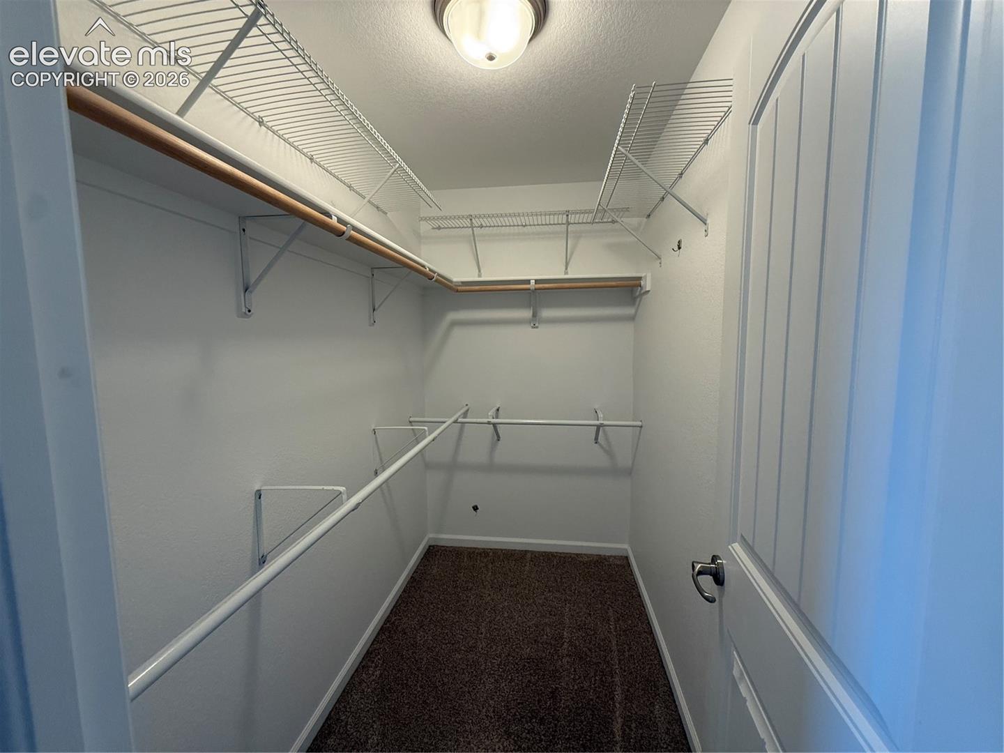 Walk-in closet featuring multi-level white wire shelving, wall-mounted hanging rods, neutral carpeting, and a flush-mount ceiling light