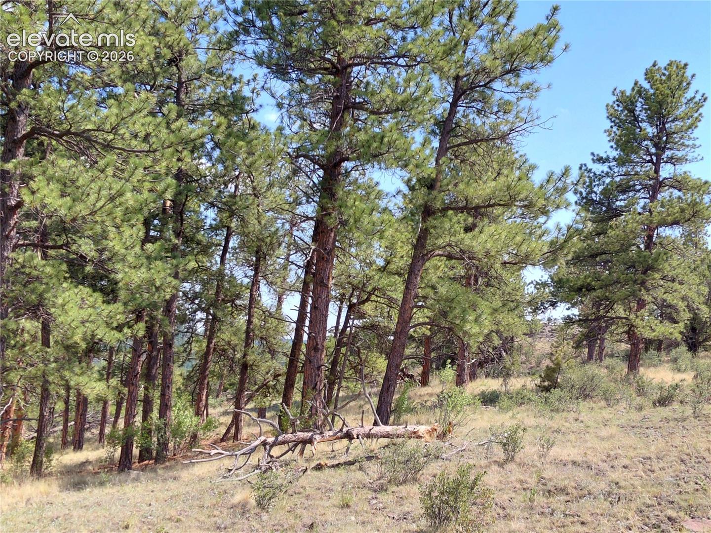 Photo 23 of Tract 70 Owls Nest Road, Guffey