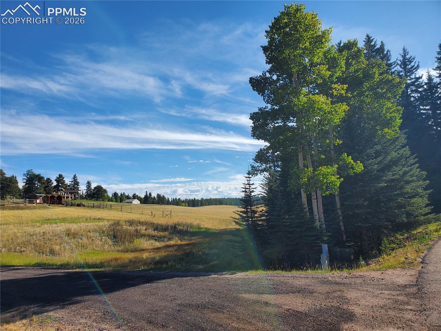 Photo 15 of 309 Pinaceae Heights, Divide