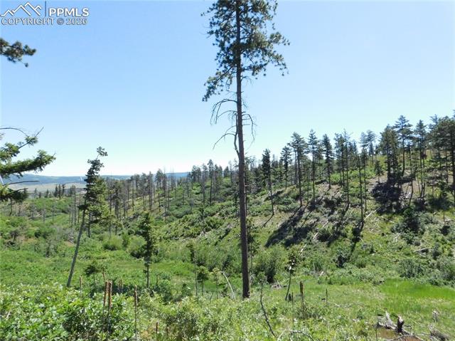 Photo 11 of 8249 Yuma Circle, Larkspur