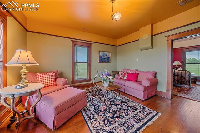 Living room featuring wood-type flooring