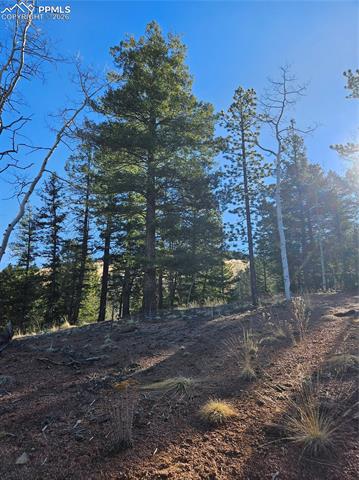 Photo 21 of 652 Derby Drive, Cripple Creek