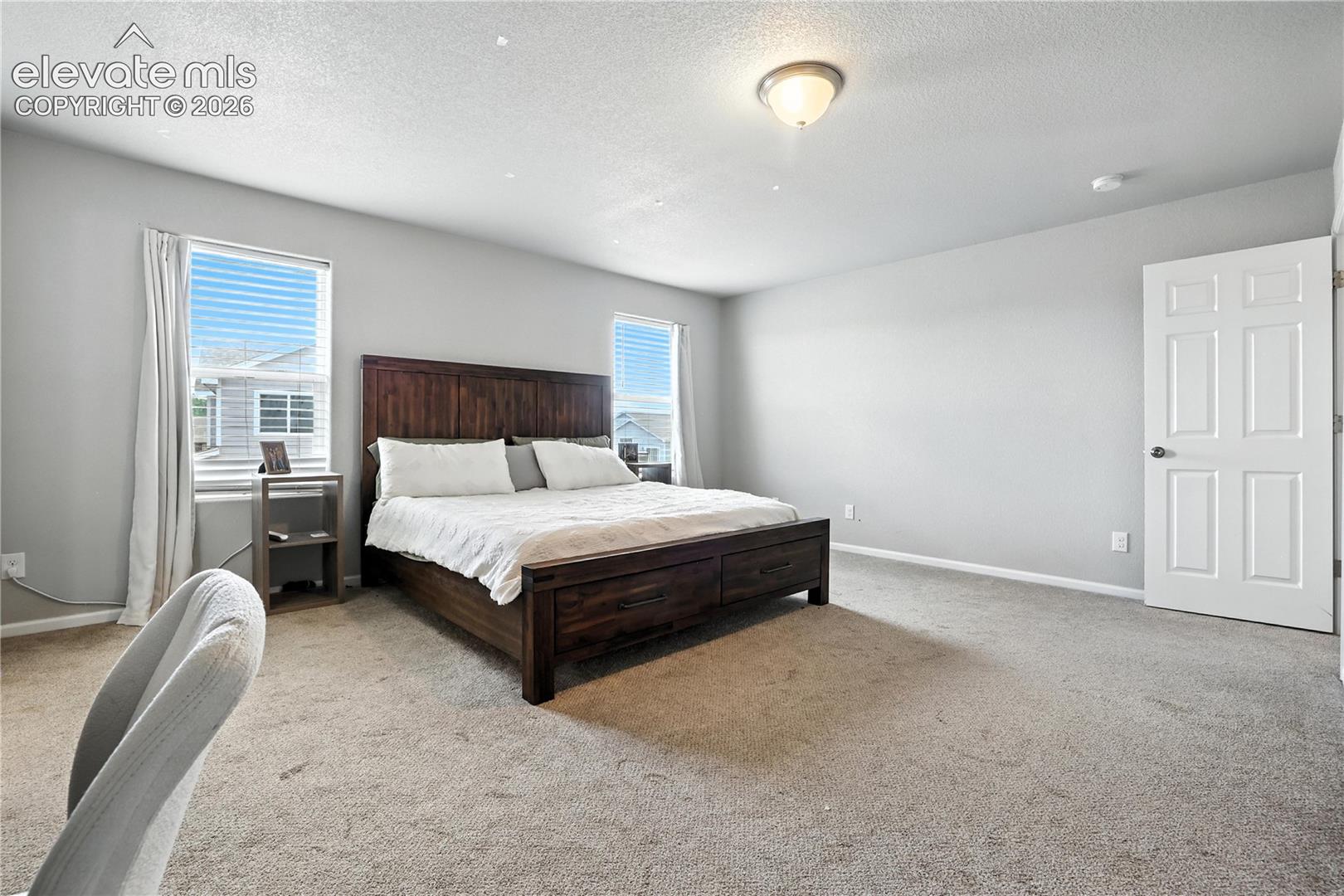 Wall-to-wall carpeting with light gray wall paint, two windows with blinds, a white six-panel door, and a flush mount ceiling light