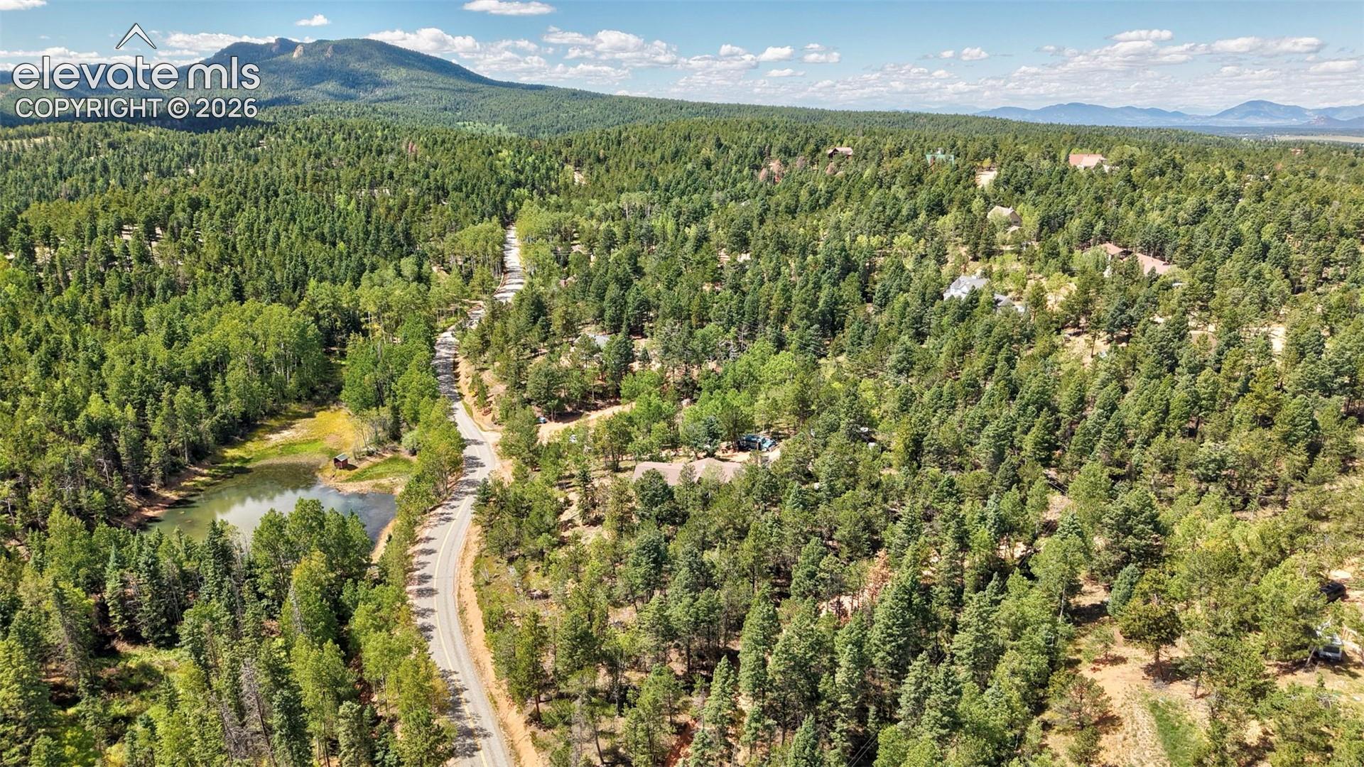 Expansive treed landscape with a winding paved road