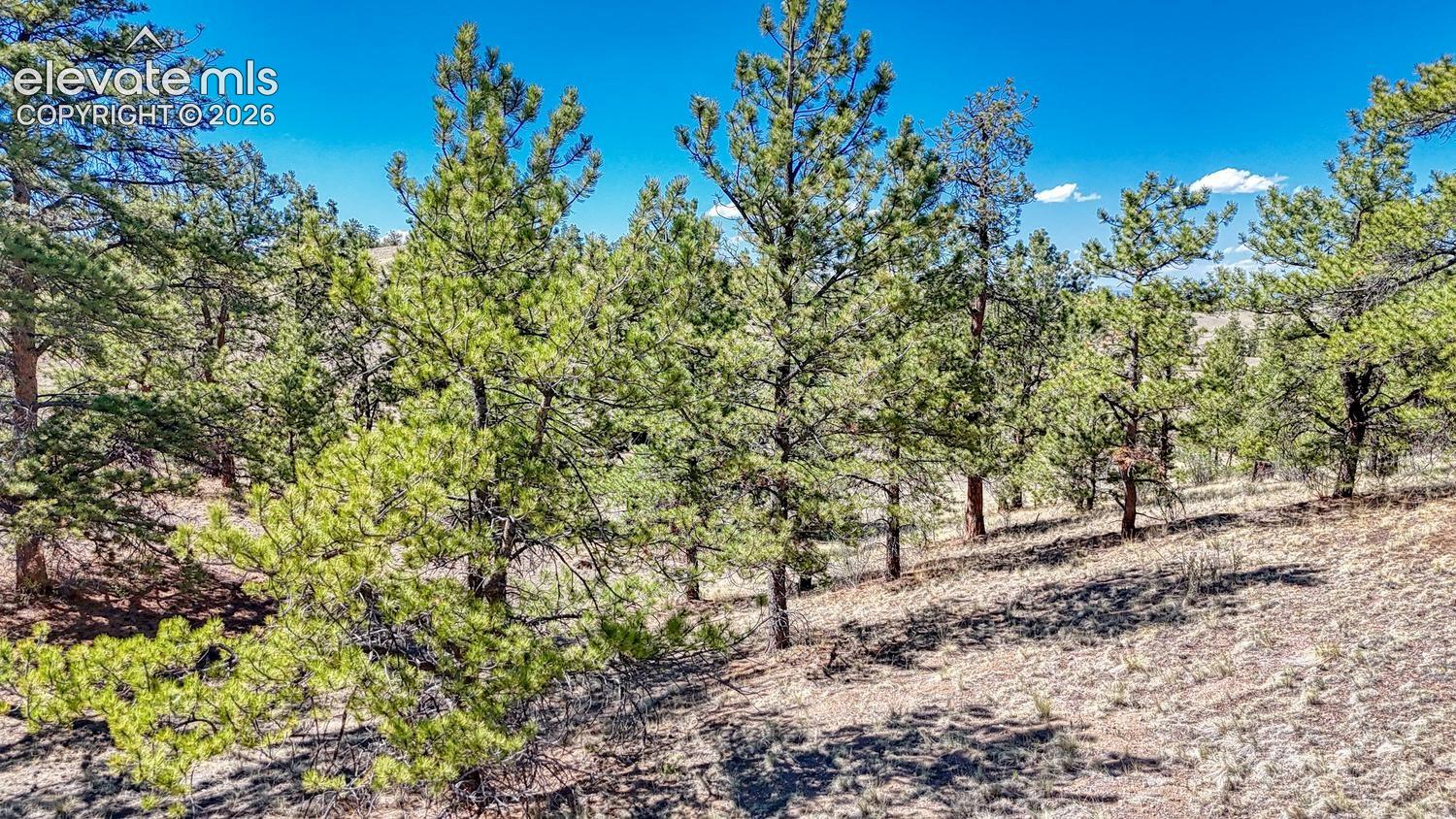 Photo 17 of Lot 11 Highway 9, Hartsel