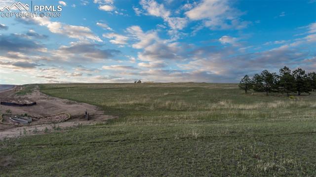 Photo 11 of 11516 Bison Meadows Court, Colorado Springs