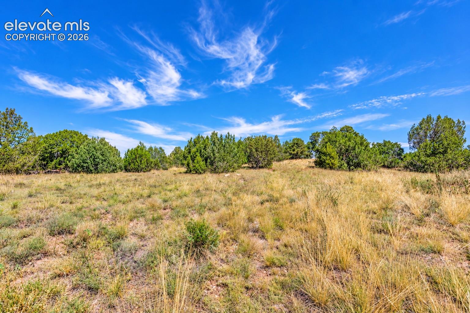 A peaceful open meadow surrounded by mature juniper trees, native grasses, and natural vegetation. This scenic setting showcases the varied terrain and rural character of the 40-acre property.

