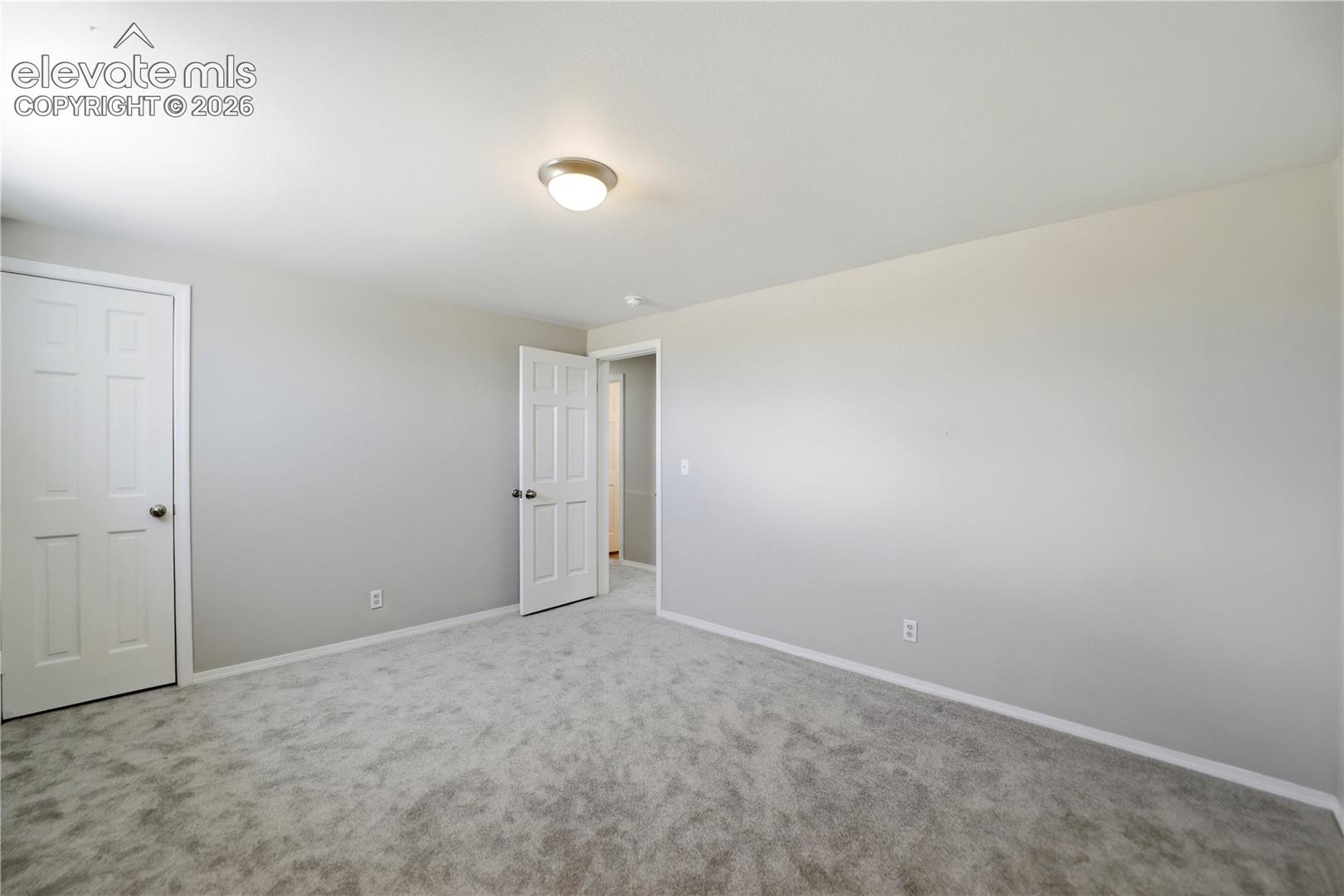 Carpet