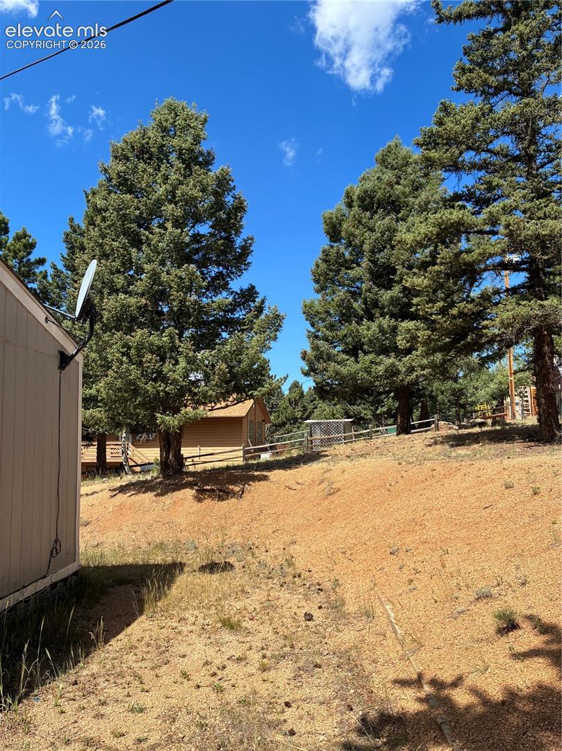 Tall Pine Trees Surround the Home