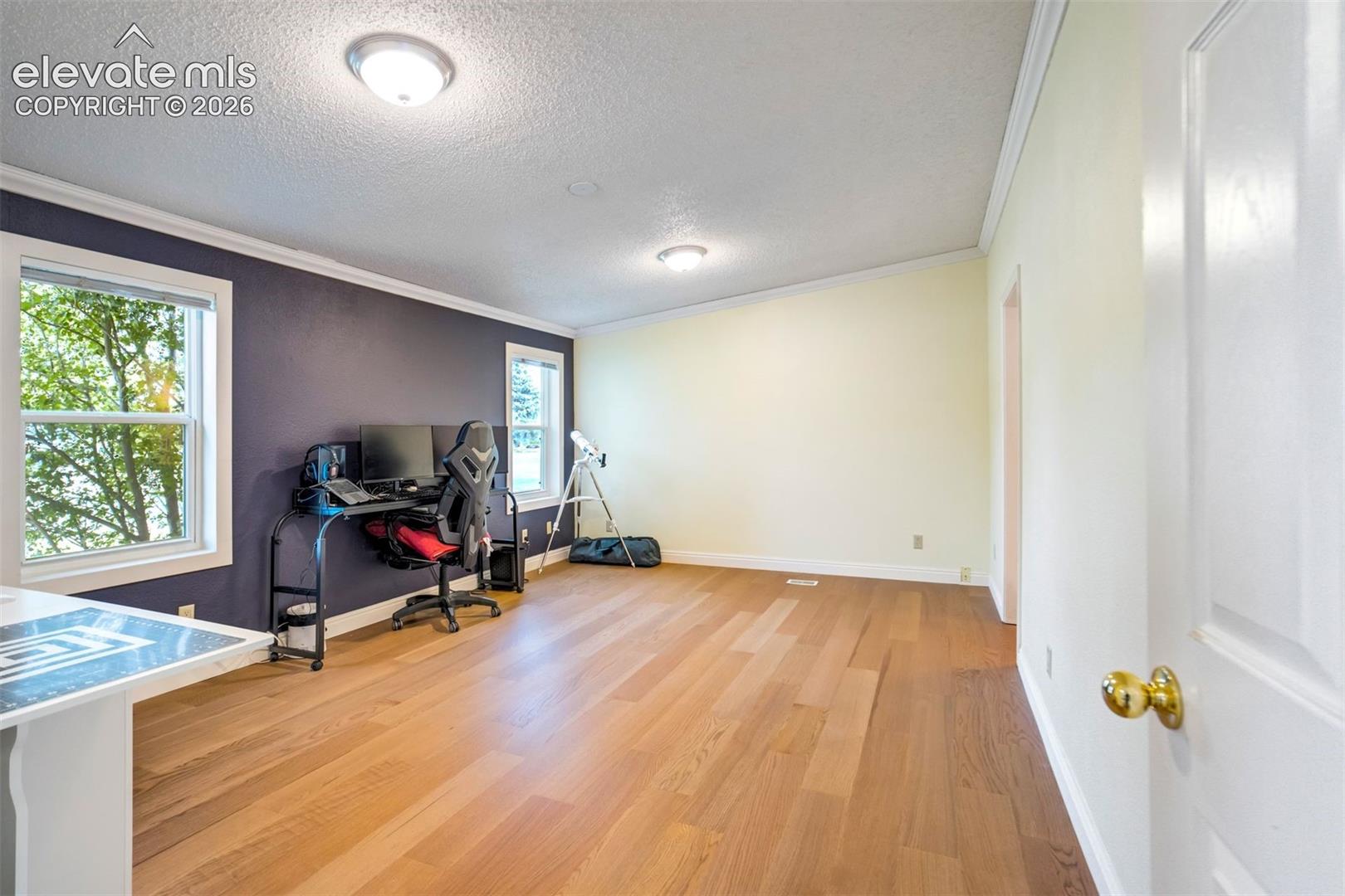 Spacious primary bedroom with vinyl flooring and abundant natural light.