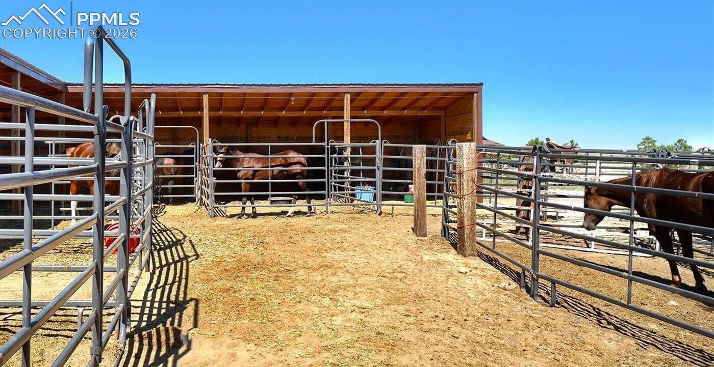 HORSE STALLS