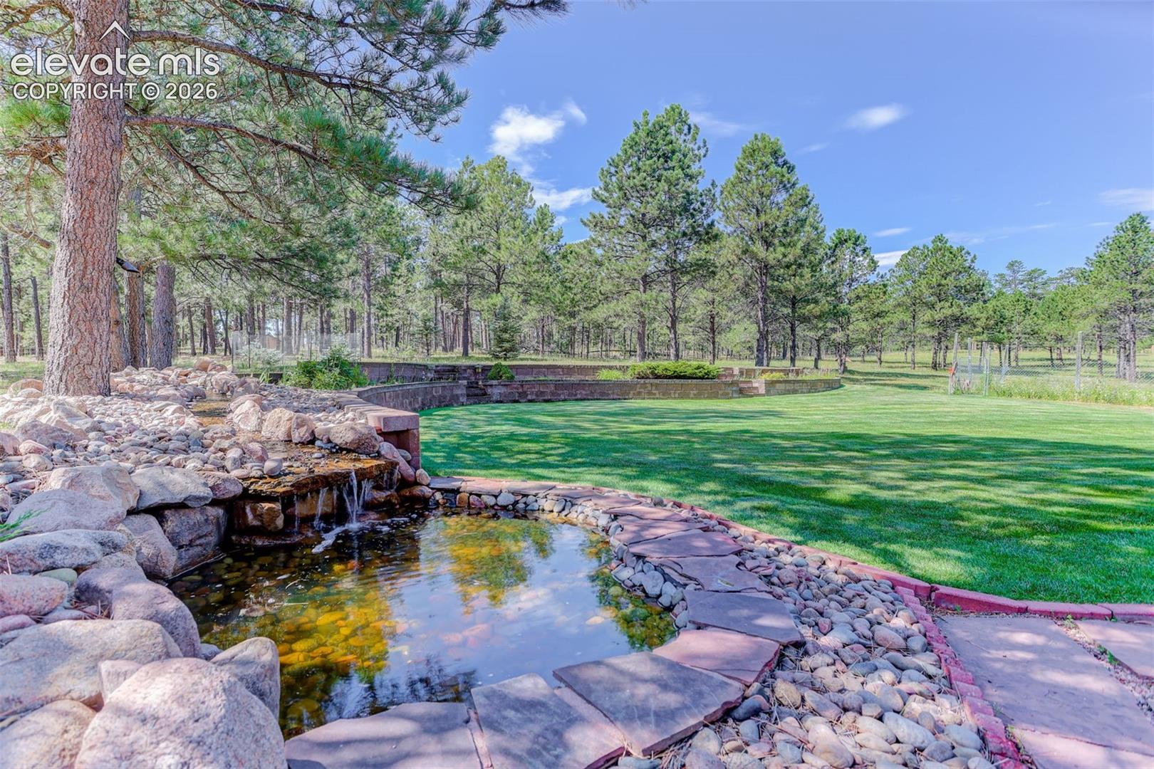 Water feature in back yard.