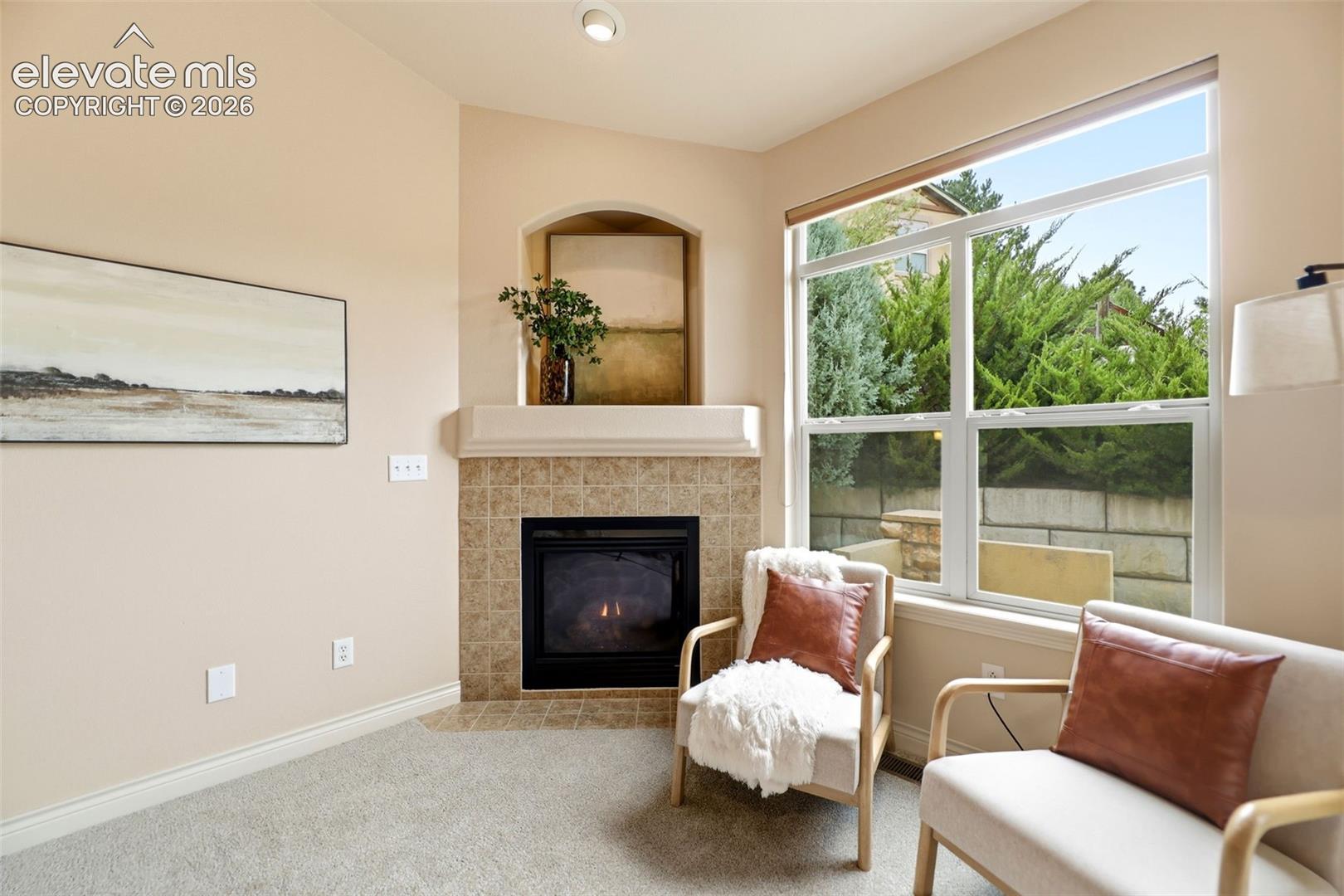 Photo 17 of 4580 Scarlet Drive, Colorado Springs