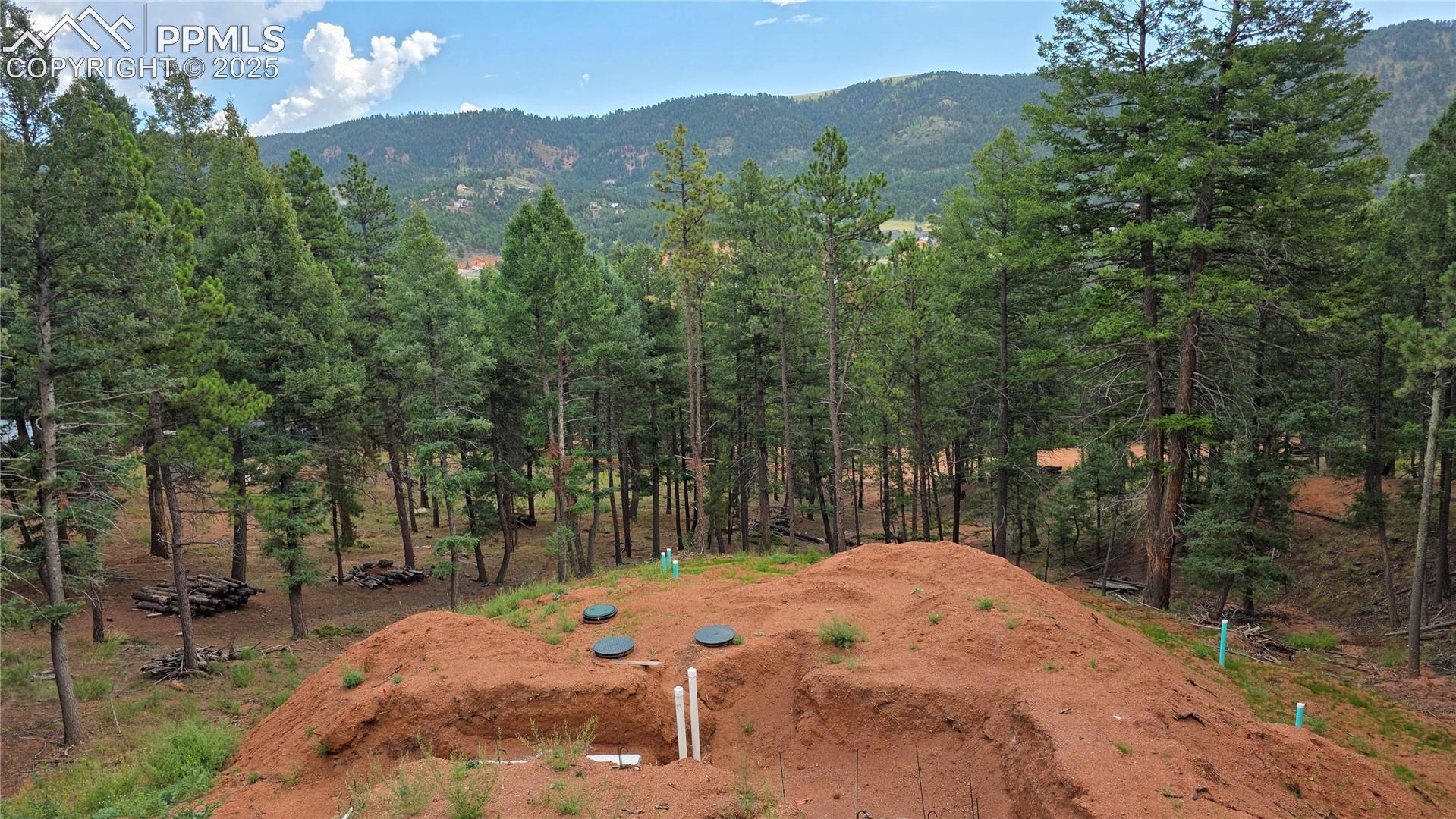 370 Summer Haven Dr, Woodland Park, CO 80863
