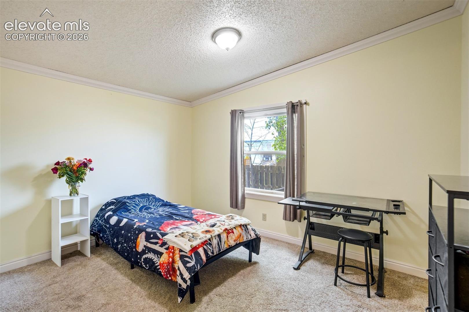 Spacious third bedroom with carpet flooring and large window.