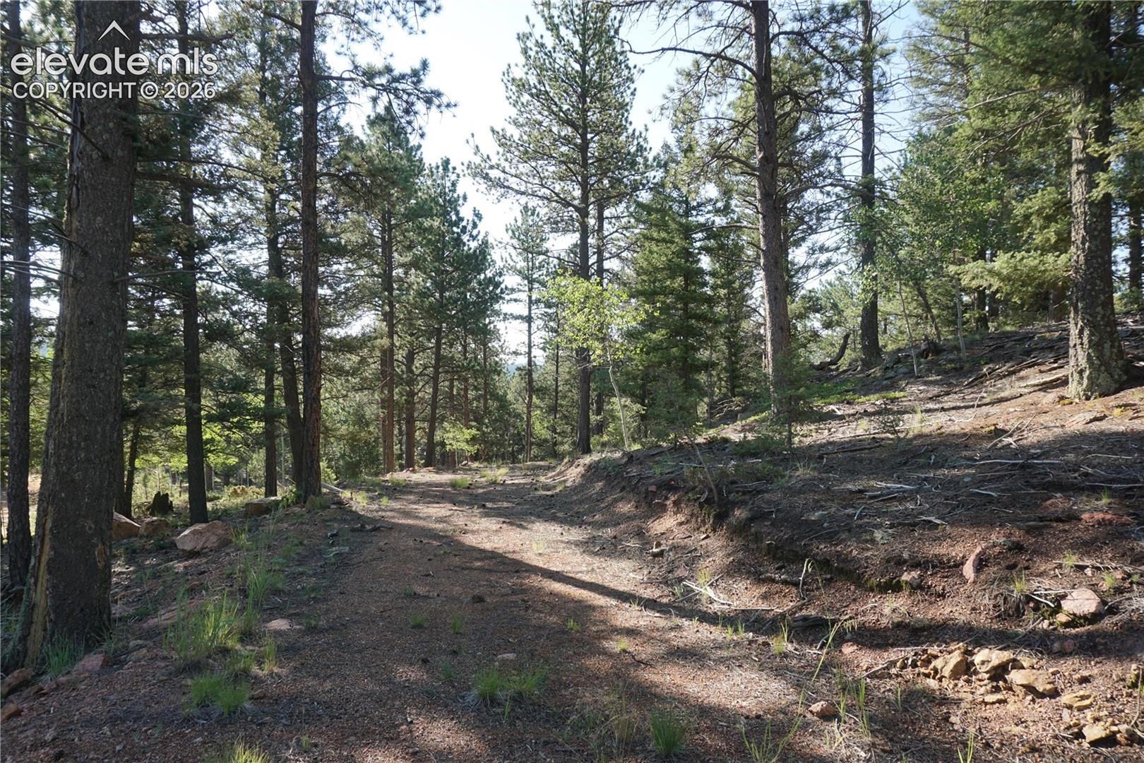 Photo 6 of 422 Spring Valley Drive, Divide