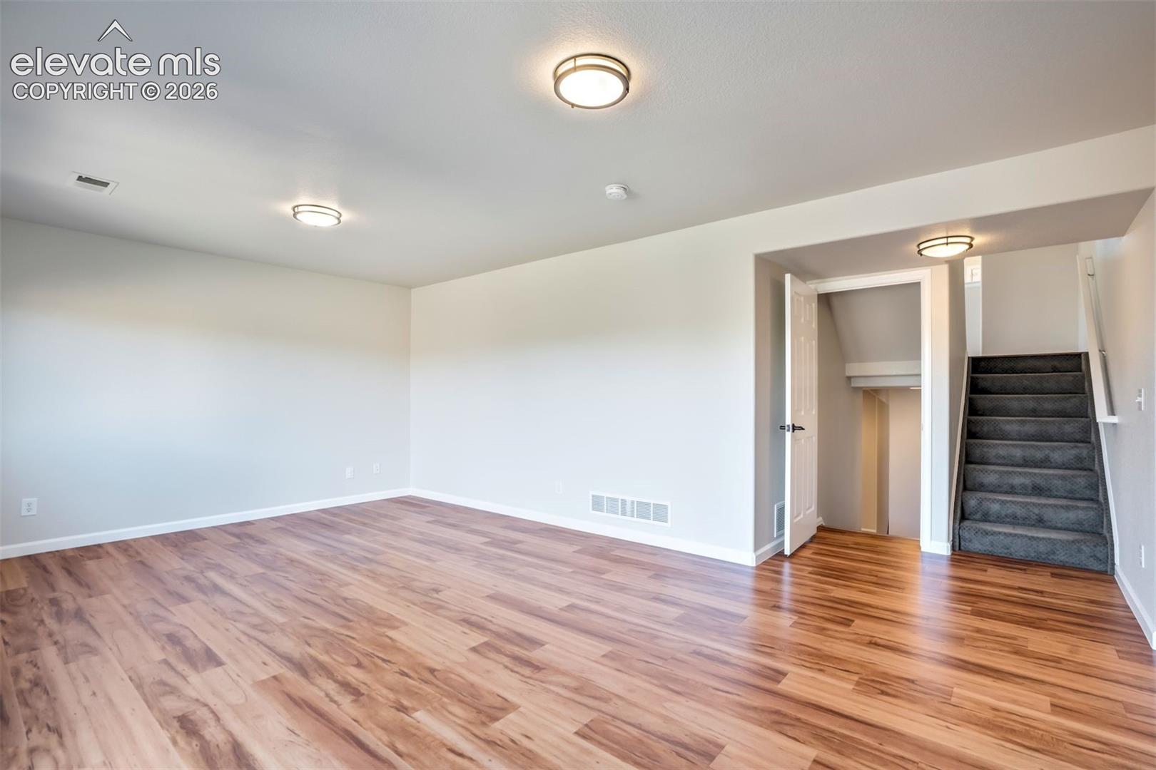 Lower level family room, because one living room isn't enough. 