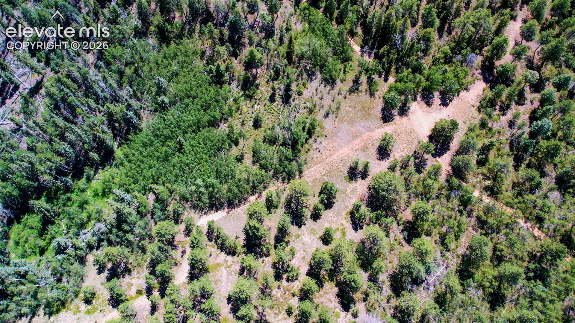 Unit 4 County Road 51, Florissant, CO 80816