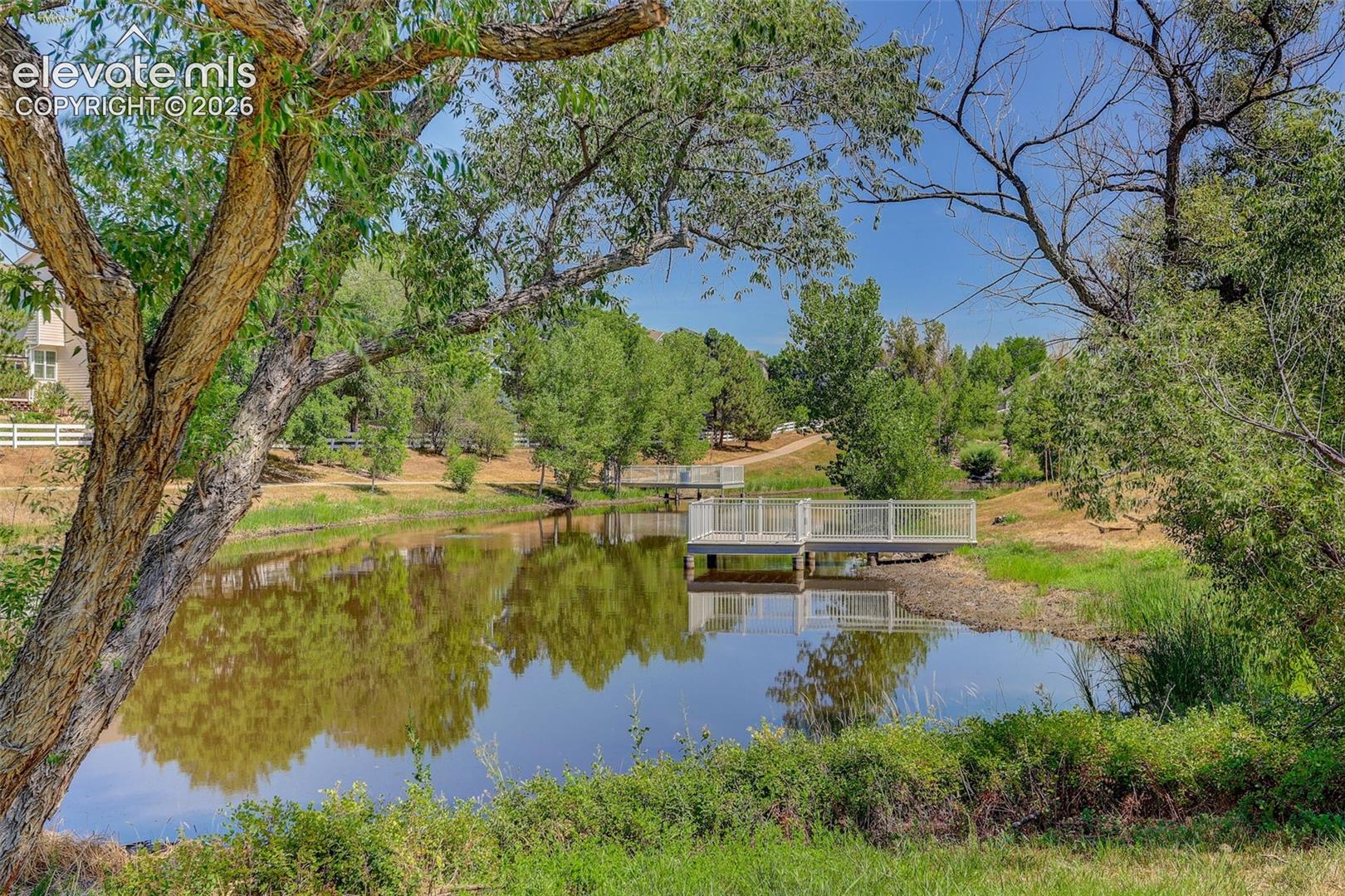 Natural water feature with an elevated pier and surrounding mature trees