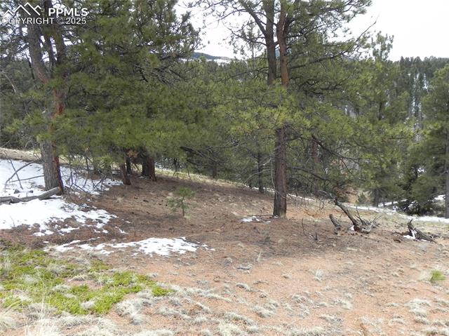 Photo 11 of 153 Idlewild Drive, Cripple Creek