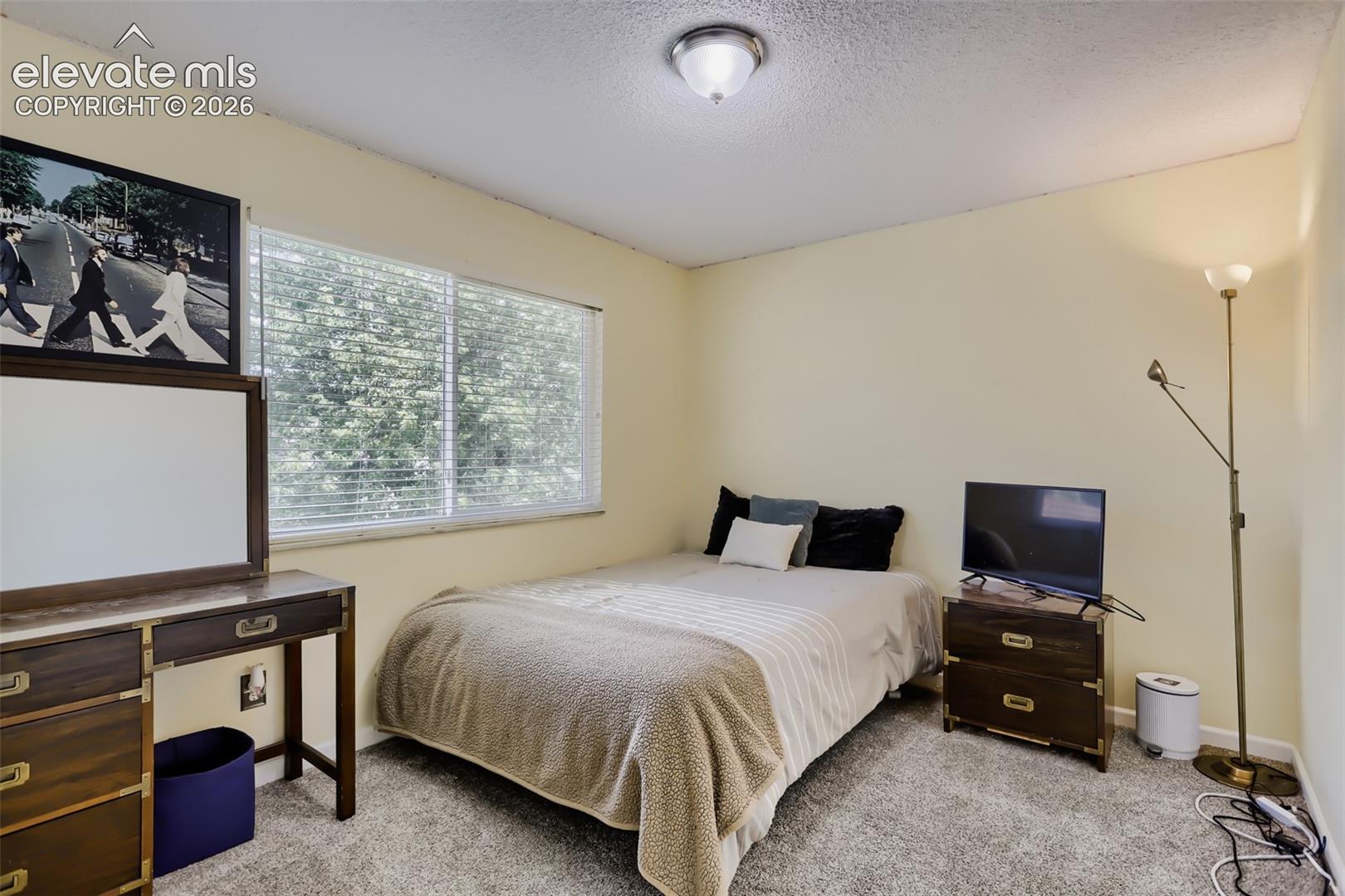 Cozy bedroom space featuring broad windows, textured carpeting, a flush-mount ceiling light, and light-toned walls