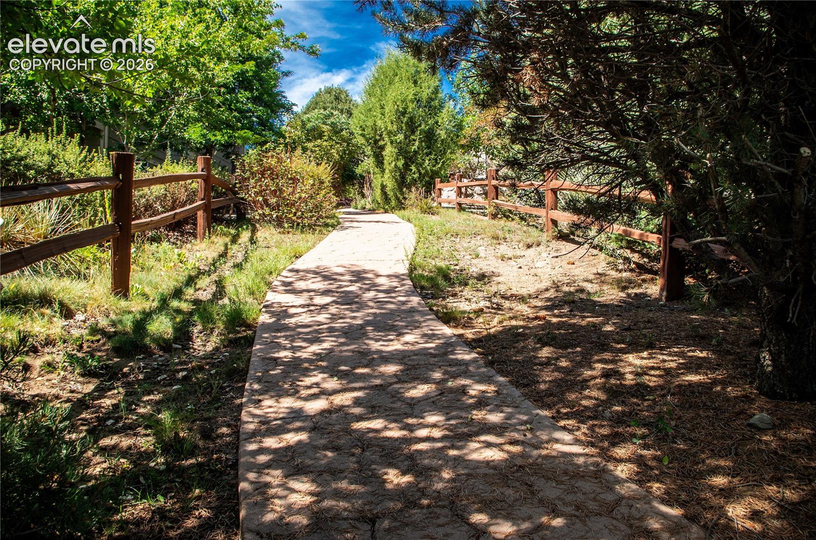 Photo 38 of 6151 Treeledge Drive, Colorado Springs