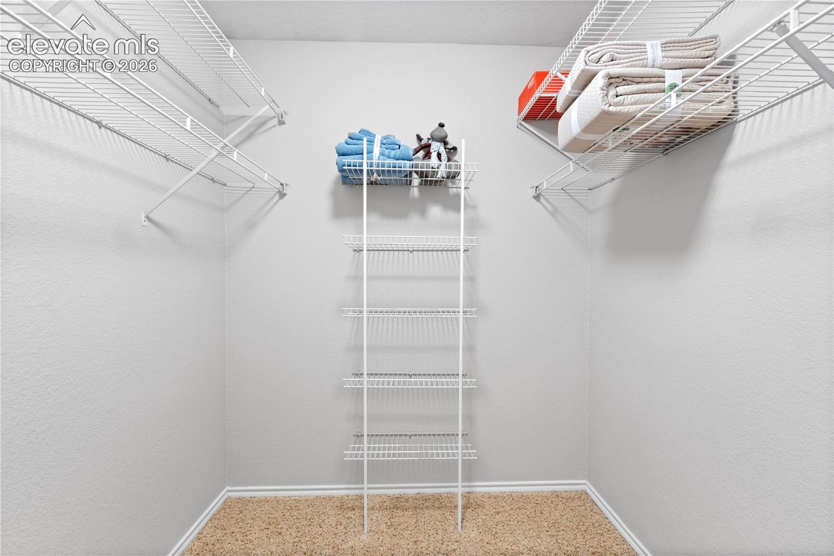 3780 Riviera Grv #UNIT 204, Colorado Springs, CO 80922 photo