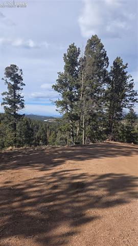 Photo 8 of 169 Osoeola Road, Woodland Park