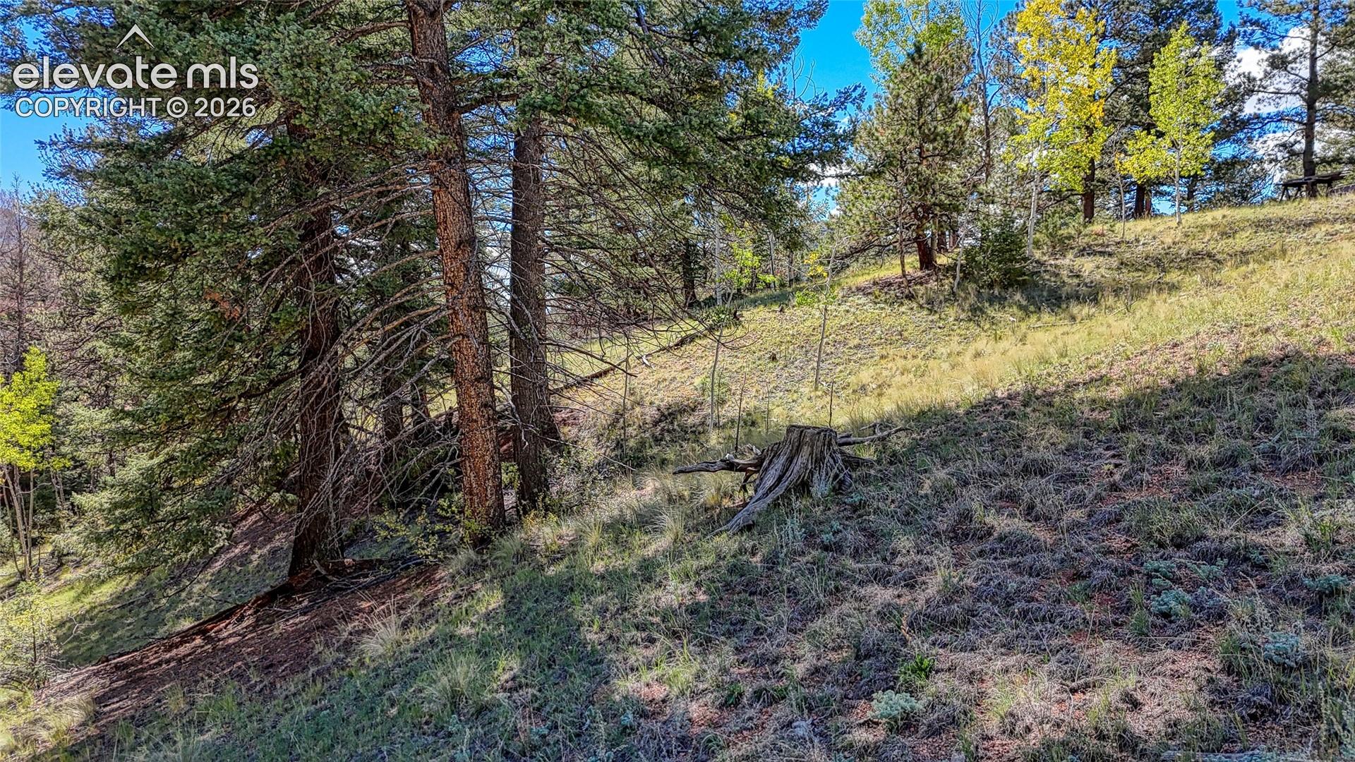 Photo 15 of 136 Gold Crown Circle, Cripple Creek