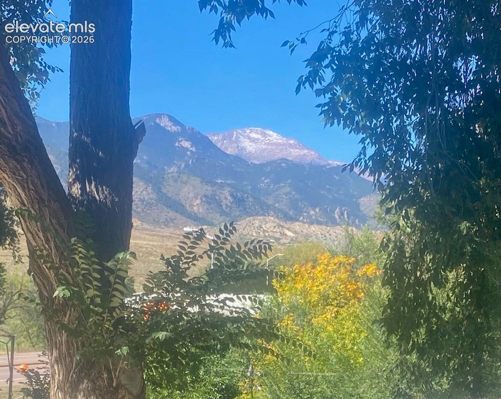 Distant snow-capped mountain range with varied terrain, framed by mature trees with green and yellow foliage