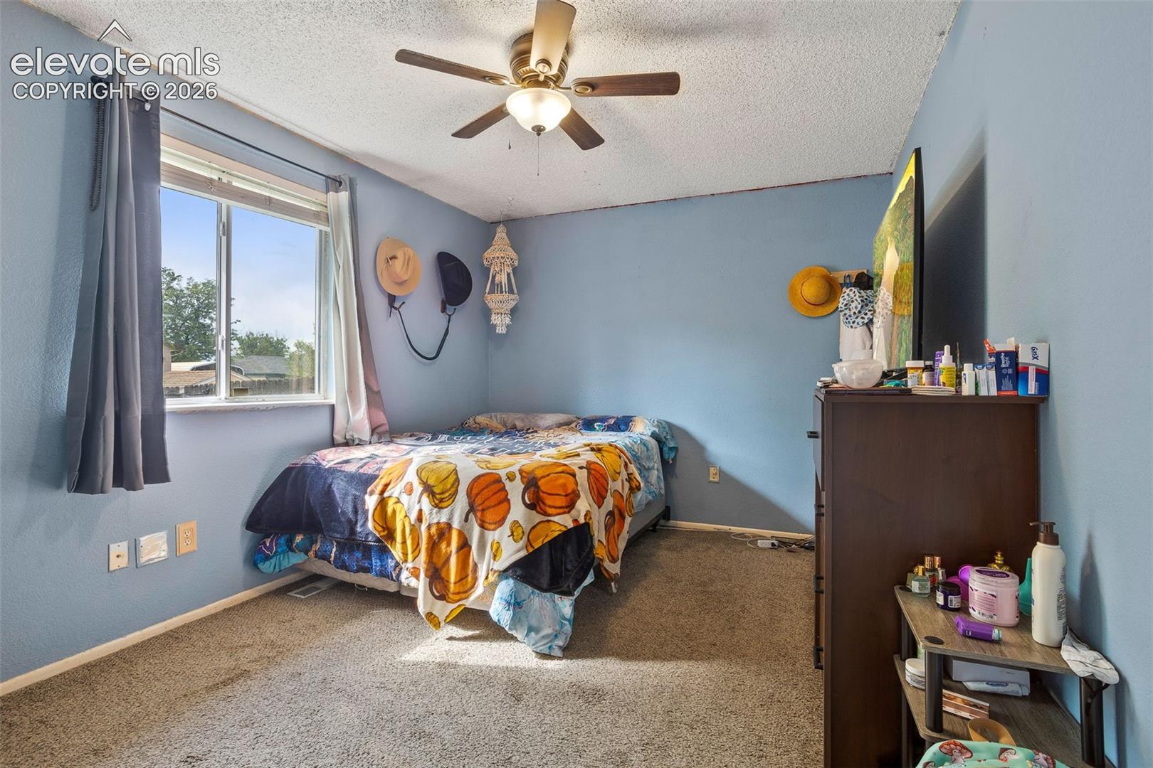 Photo 7 of 2516 Anjelina Circle, Colorado Springs