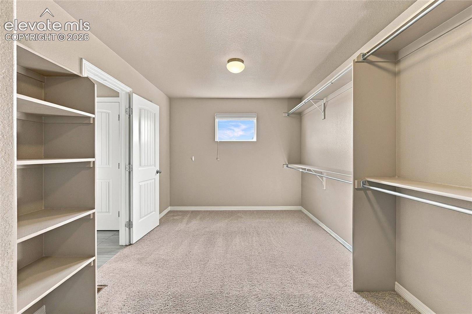 Walk-in closet featuring wall-to-wall carpeting, tiered wire shelving, built-in shelving unit, and a single window