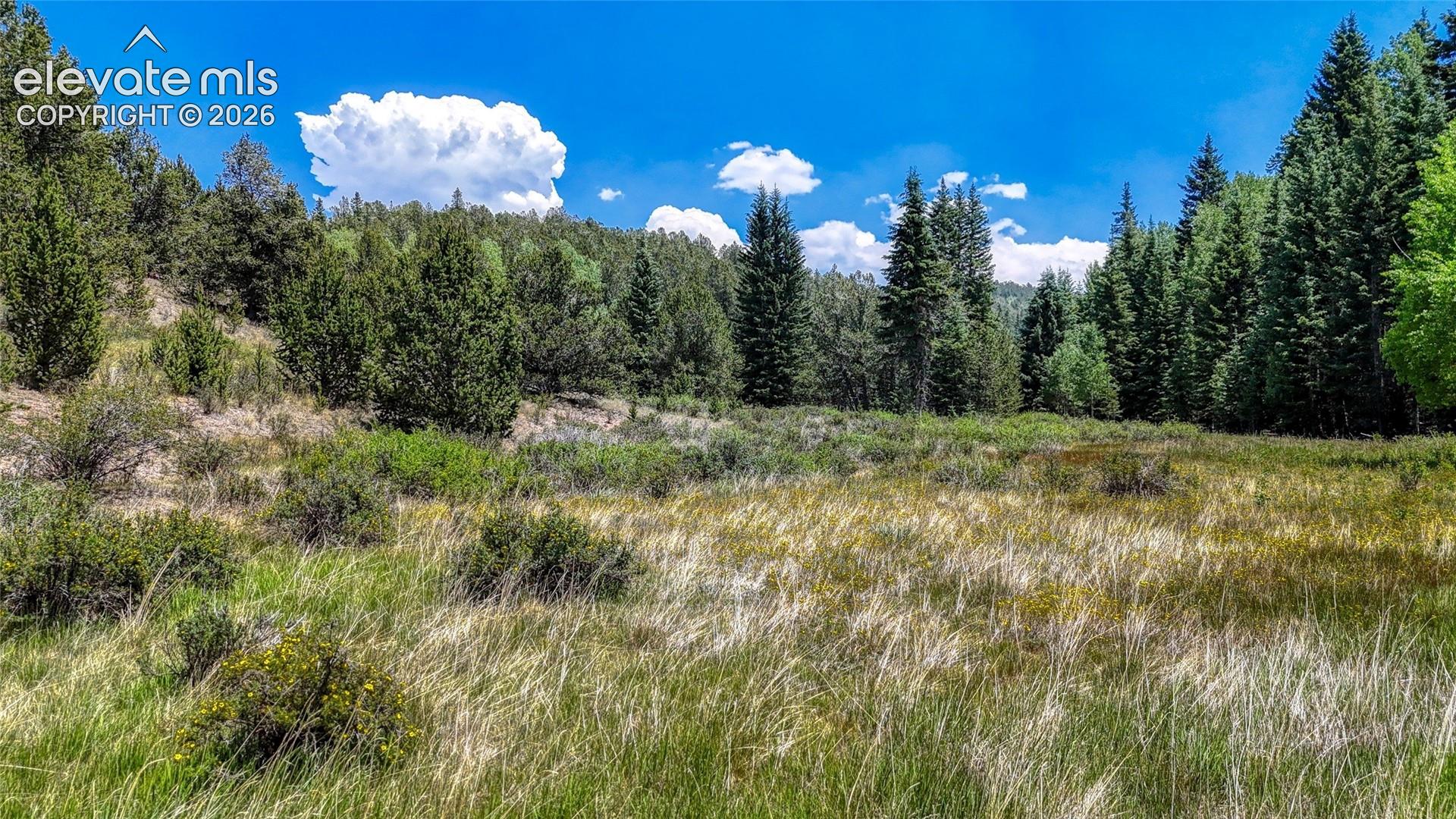Photo 20 of Highway 67, Cripple Creek