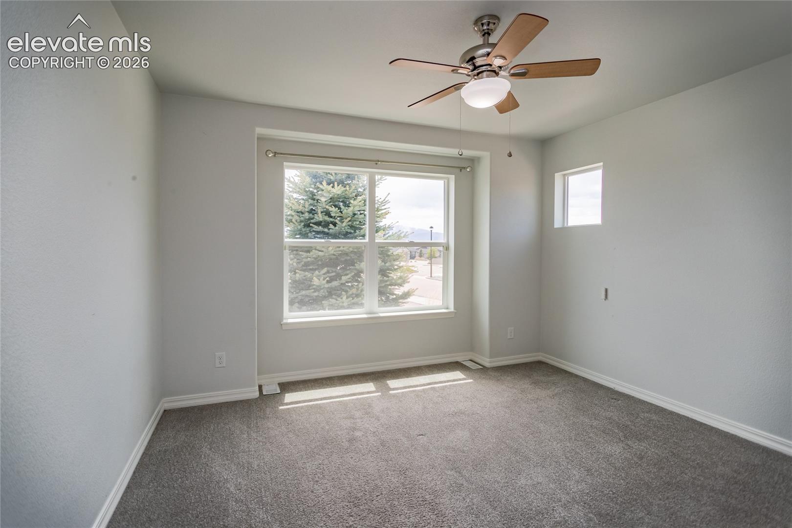 Photo 7 of 10147 Barbour Fork Court, Colorado Springs