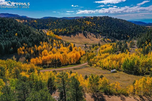 230 Penrose Cir, Cripple Creek, CO 80813