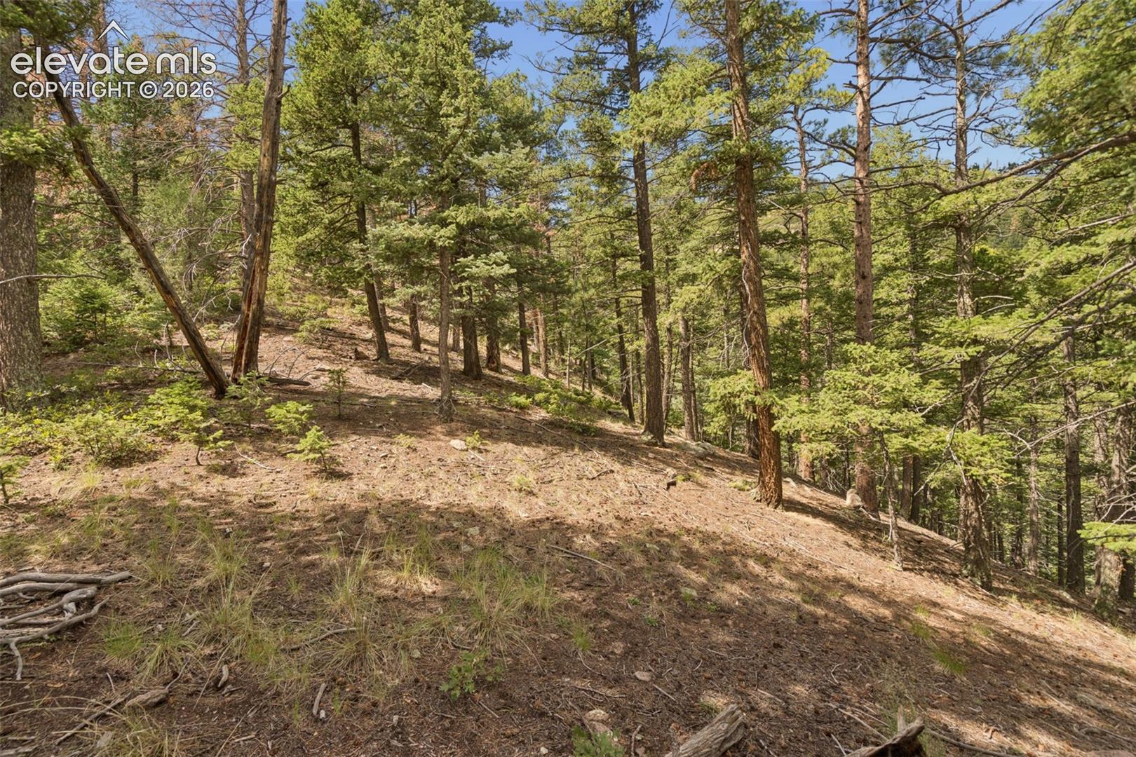 Photo 34 of 5110 Little Turkey Creek Road, Colorado Springs