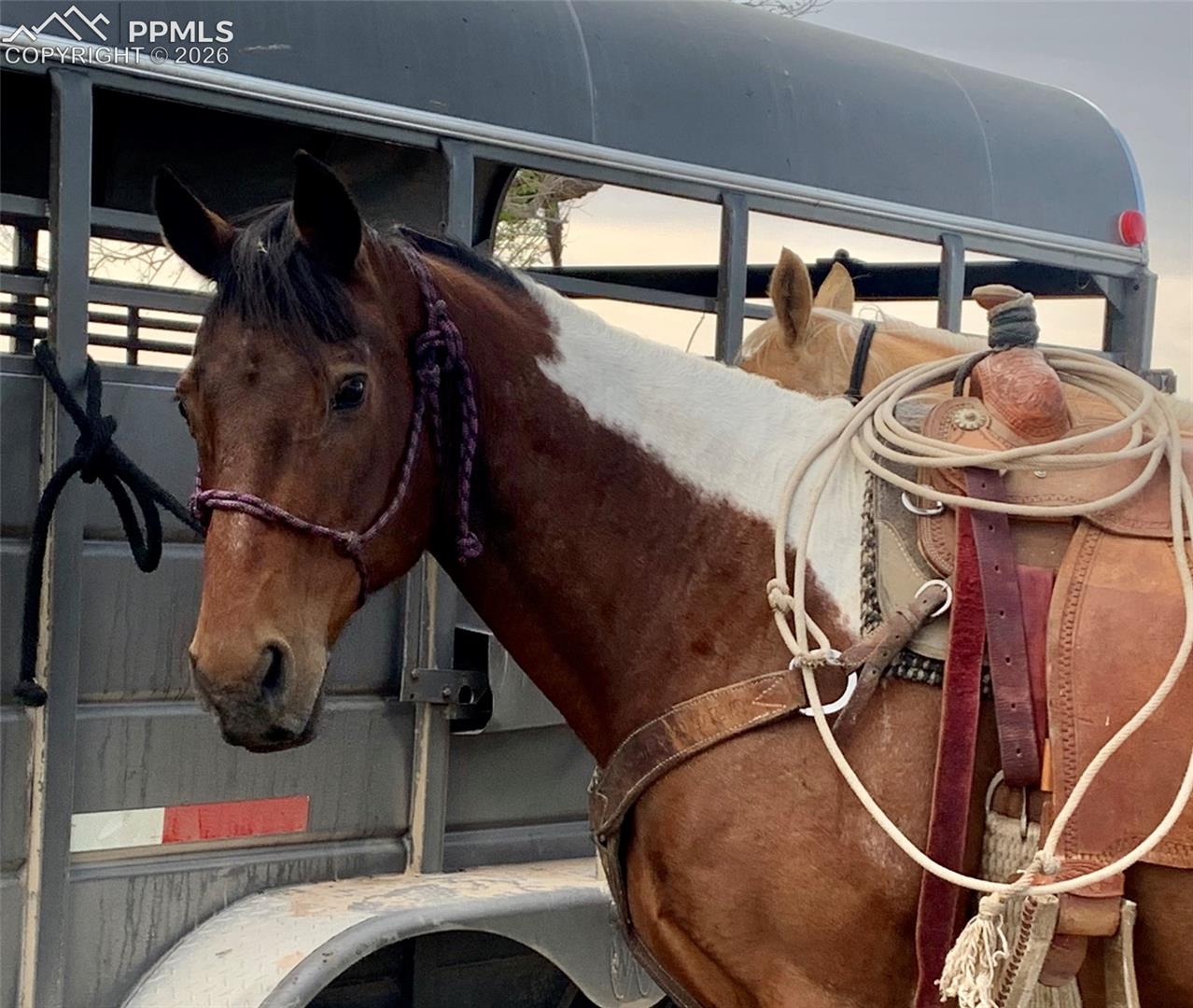 Photo 8 of 20375 Silverado Hill View, Colorado Springs