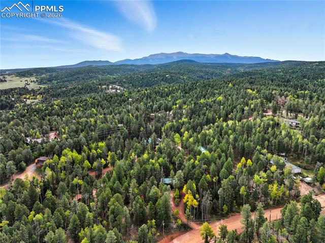 112 Denwood Dr, Florissant, CO 80816