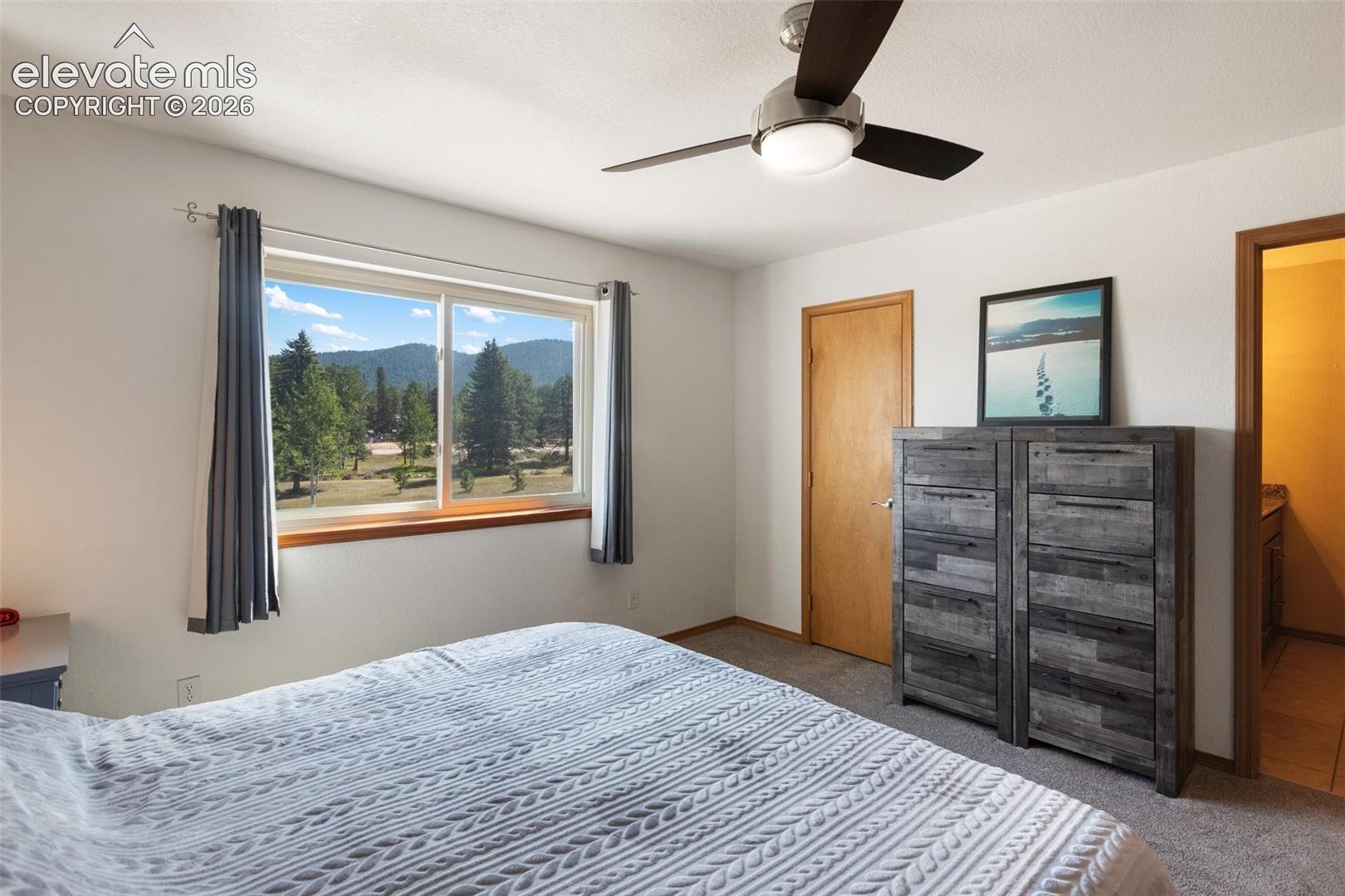 Primary Bedroom with walk in closet and bathroom. 