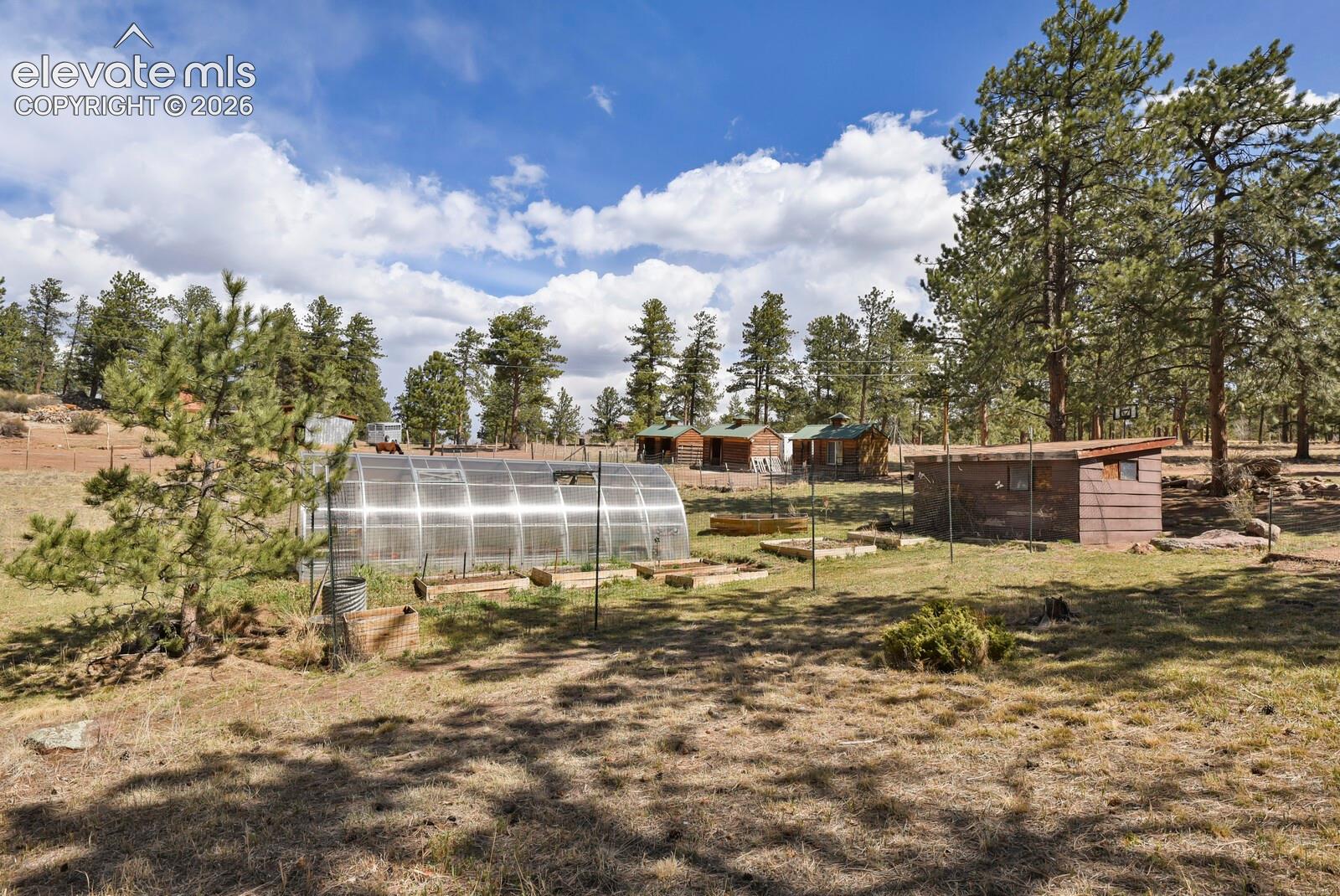 Greenhouse, storage shed, chicken coop/outbuildings