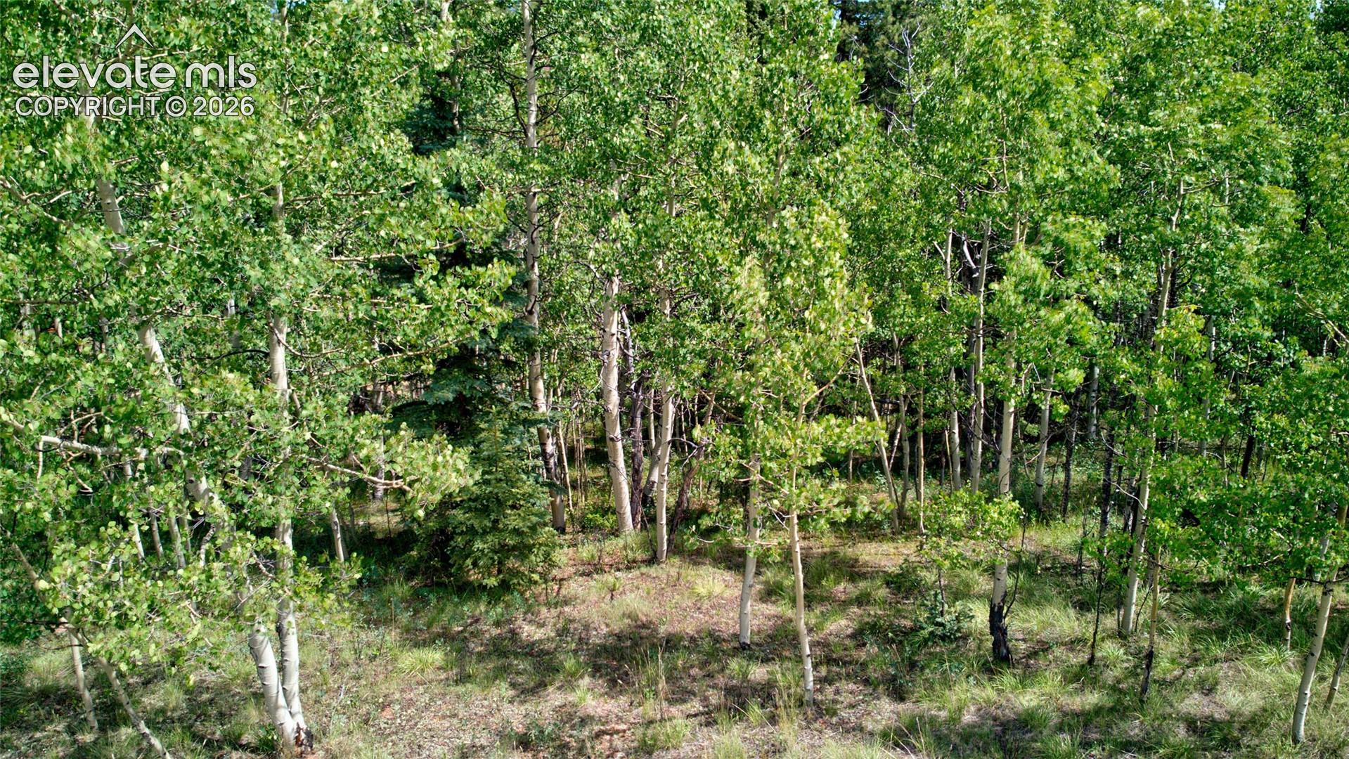 Photo 12 of 158 Rattler Court, Cripple Creek