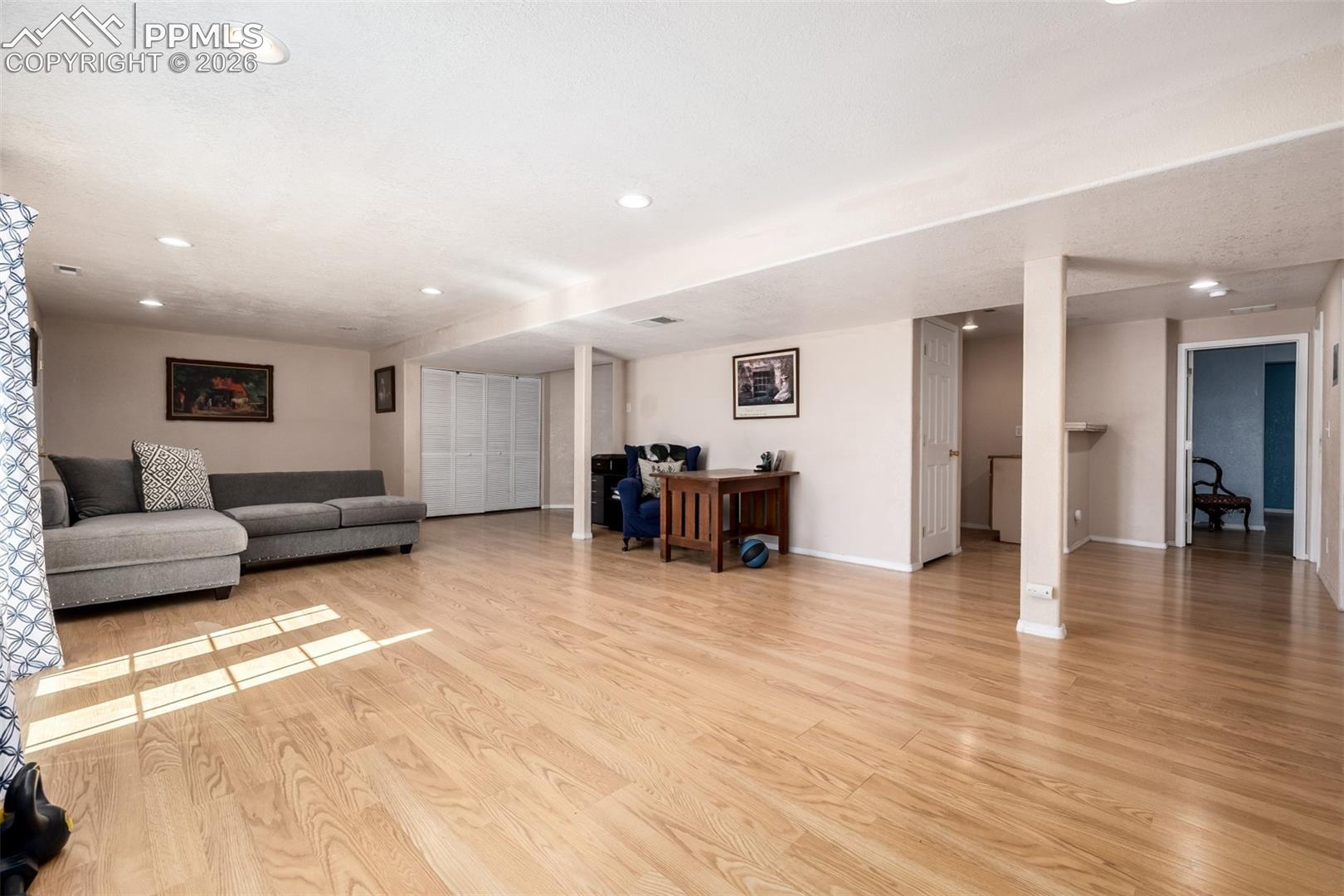 Lower Level Walk Out Living Room