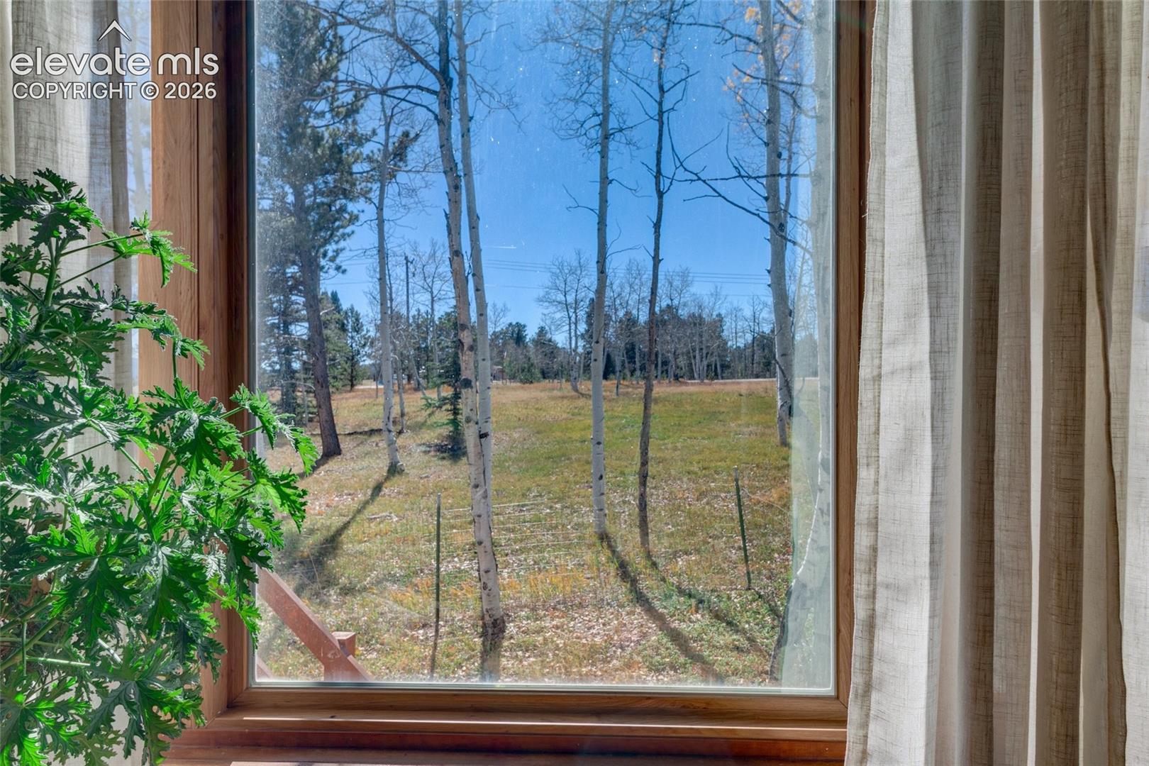 View from Living Room window