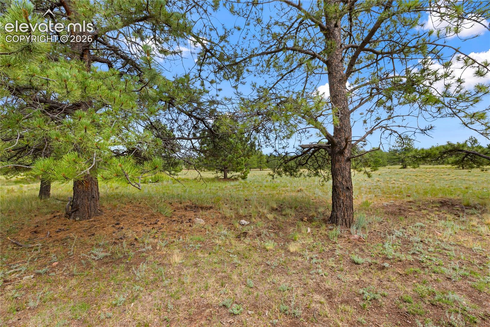1395 Doe Valley Rd, Guffey, CO 80820