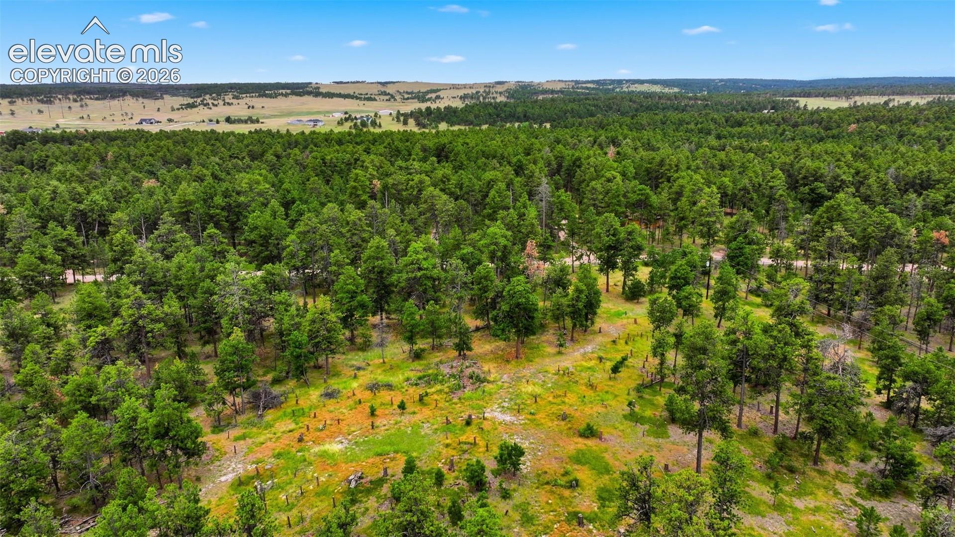 Photo 14 of 17374 Goshawk Road, Colorado Springs