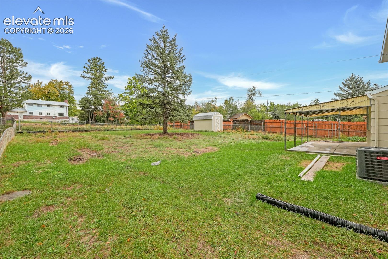 Expansive backyard featuring a mature evergreen tree, a detached storage shed, and a covered patio with a concrete slab