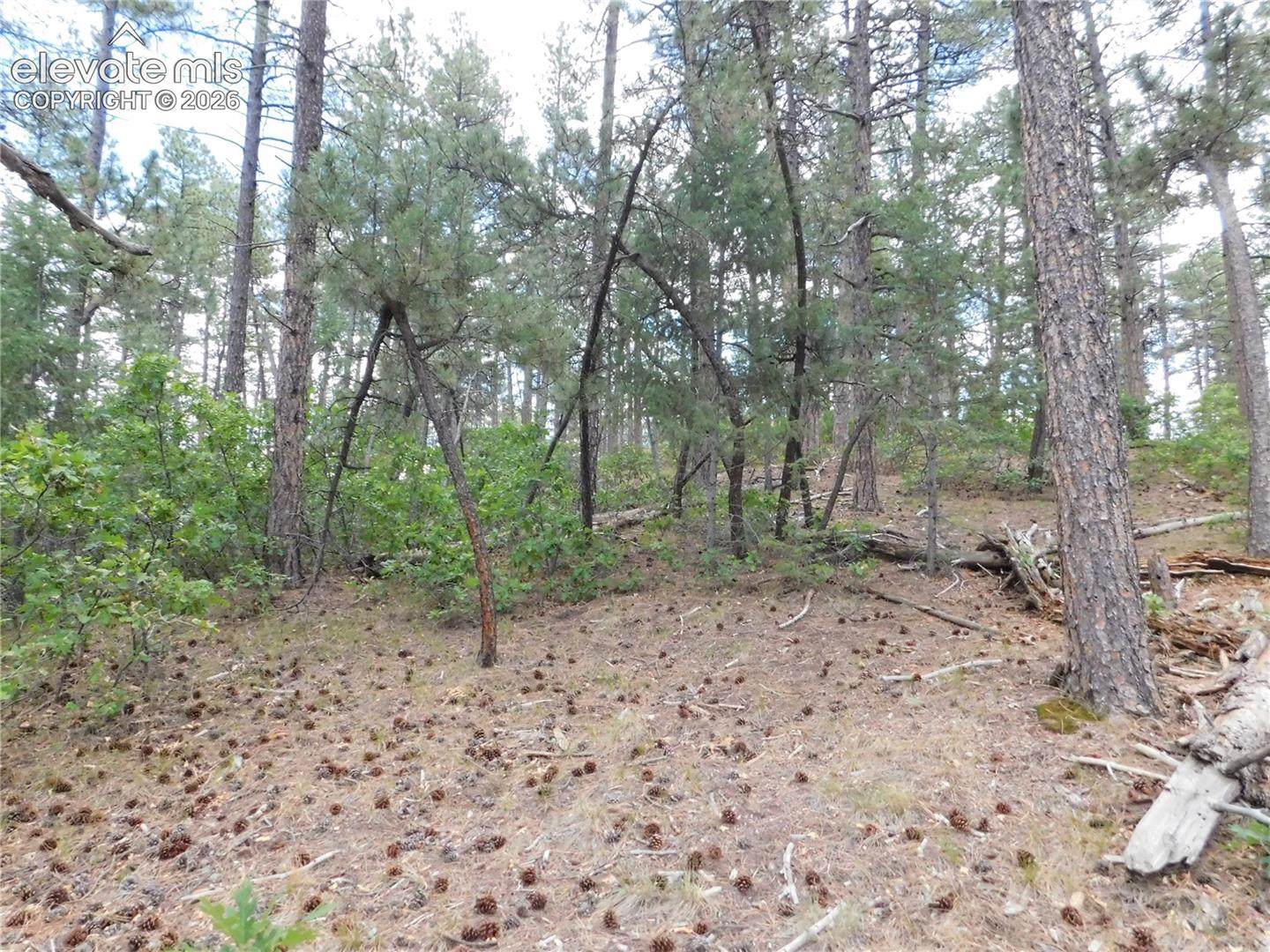 Photo 34 of 8139 Bannock Drive, Larkspur