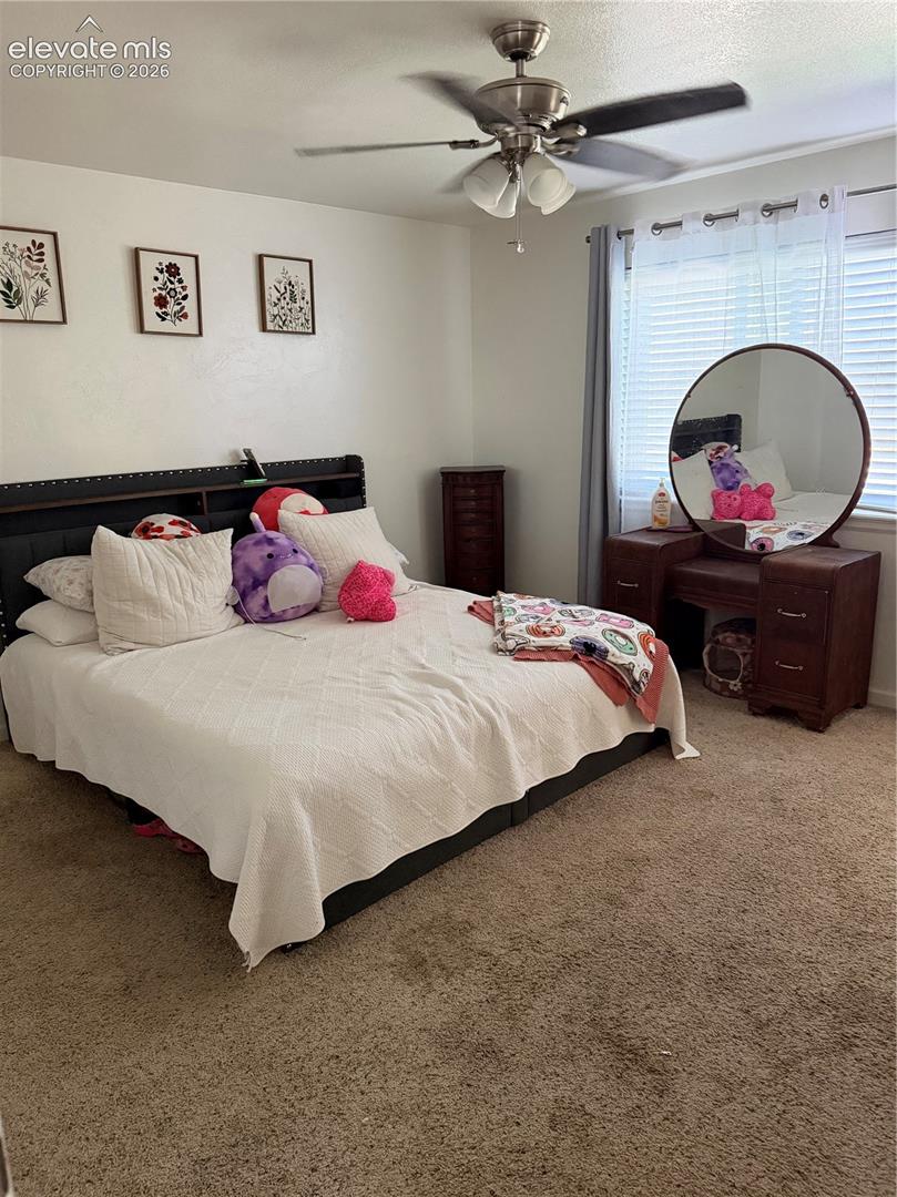 Ceiling fan with integrated lighting, window with blinds and sheer curtains, and carpeting throughout
