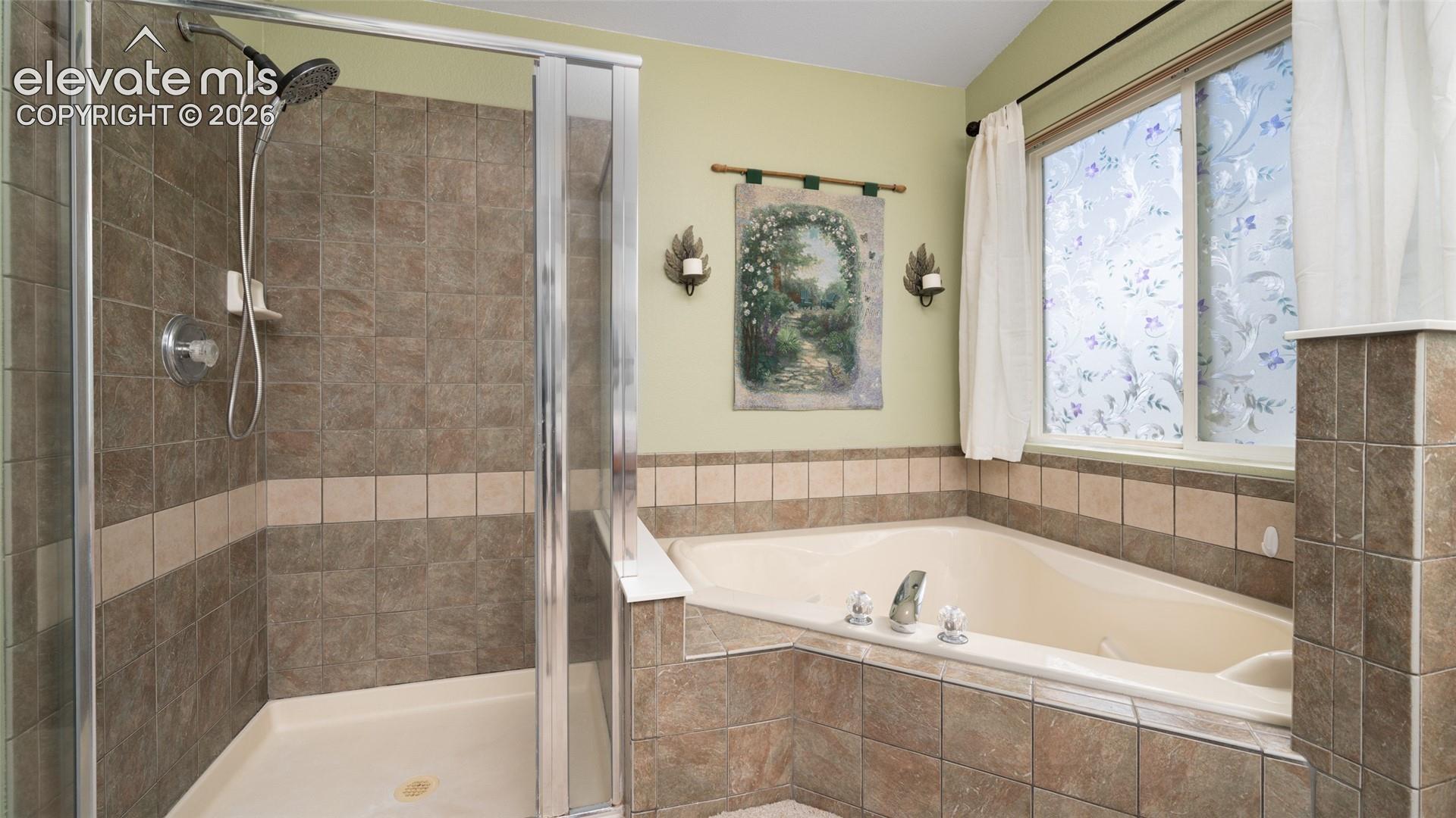 Master tub and shower